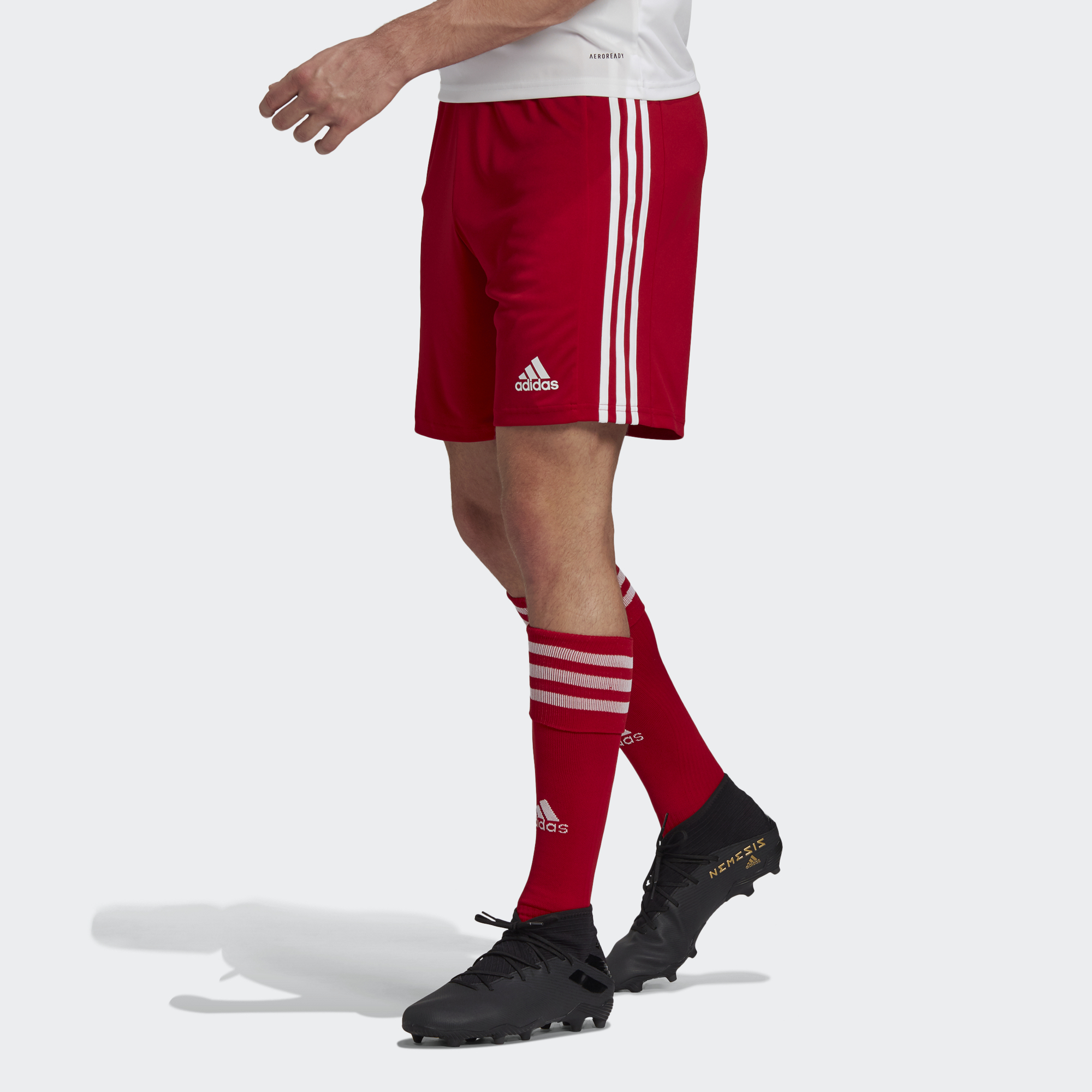 Squadra adidas shorts online